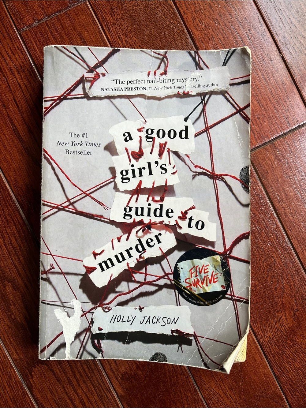 A Good Girl's Guide to Murder by Holly Jackson
